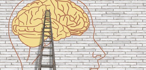 A Neurobiologia da Depressão e do seu Tratamento