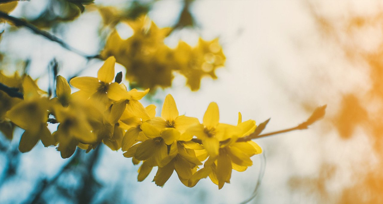 Saiba o que é Setembro Amarelo
